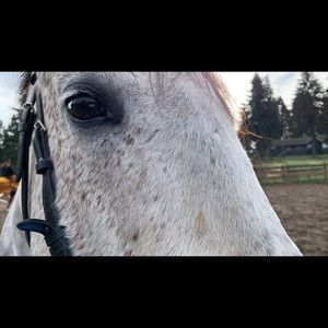 Meet your Posher, Janice